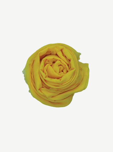 Yellow Scarf